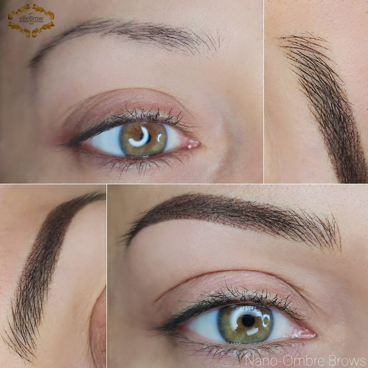 Nano Brows and Ombre combination
Ellebrow NYC Client