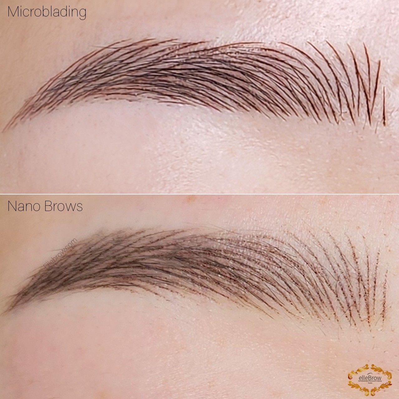 Microblading vs. Nano Brows Close-up