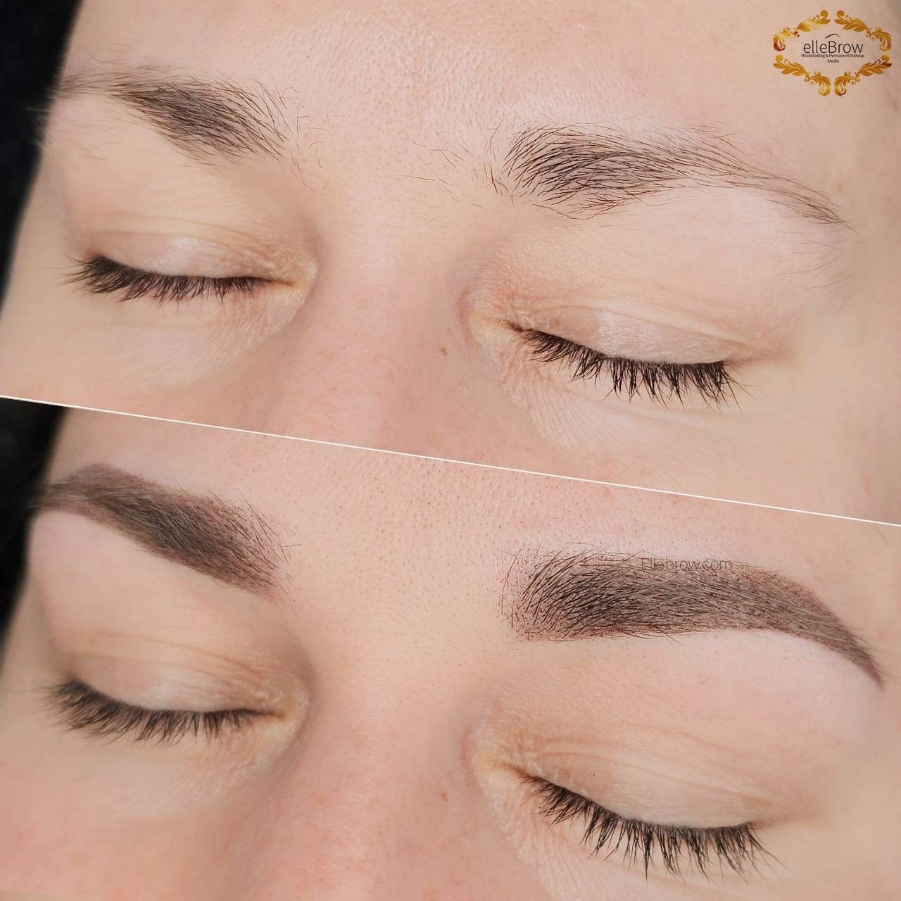 Microshaded Eyebrows