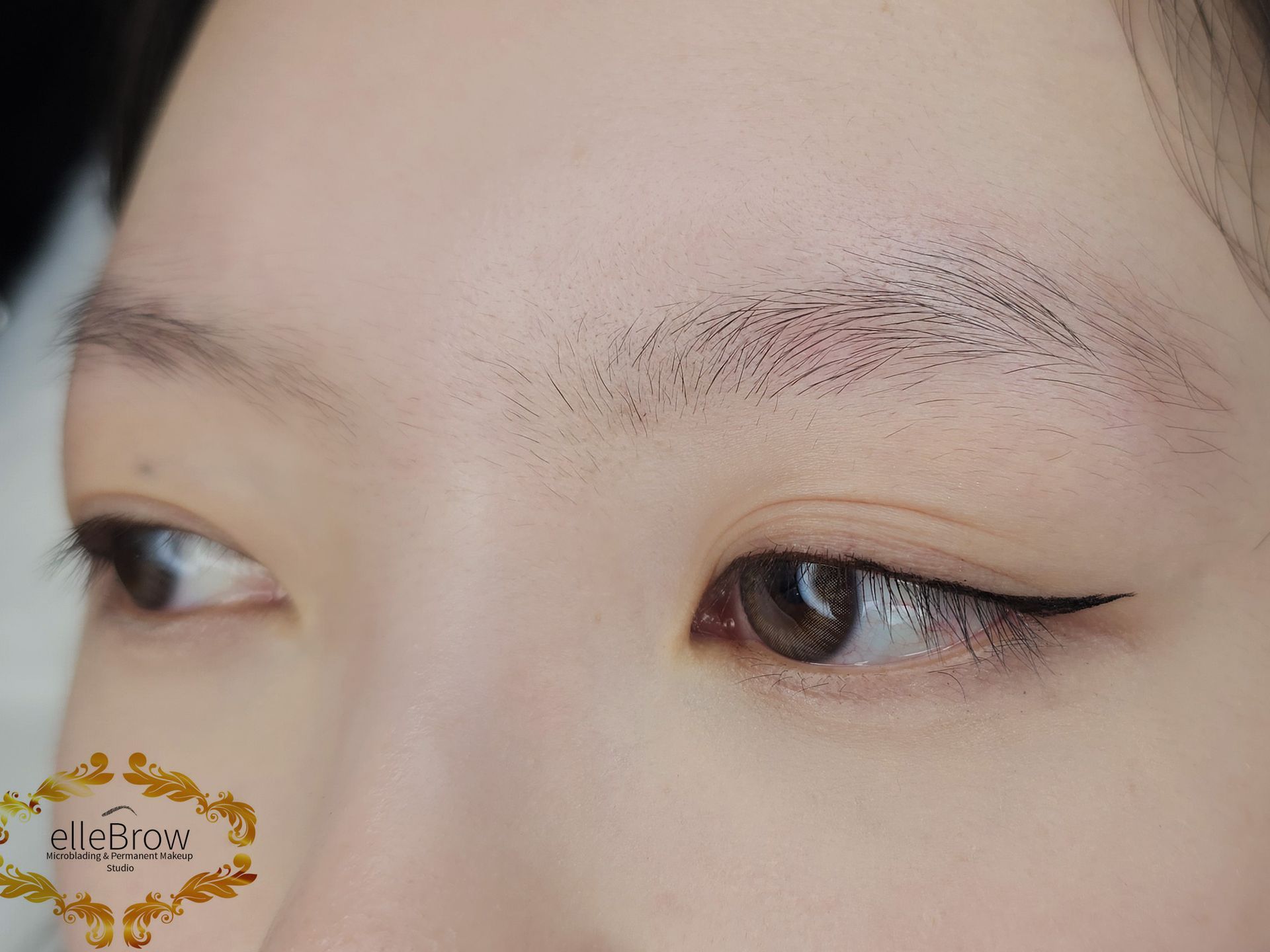 Before Eyebrow Microshading