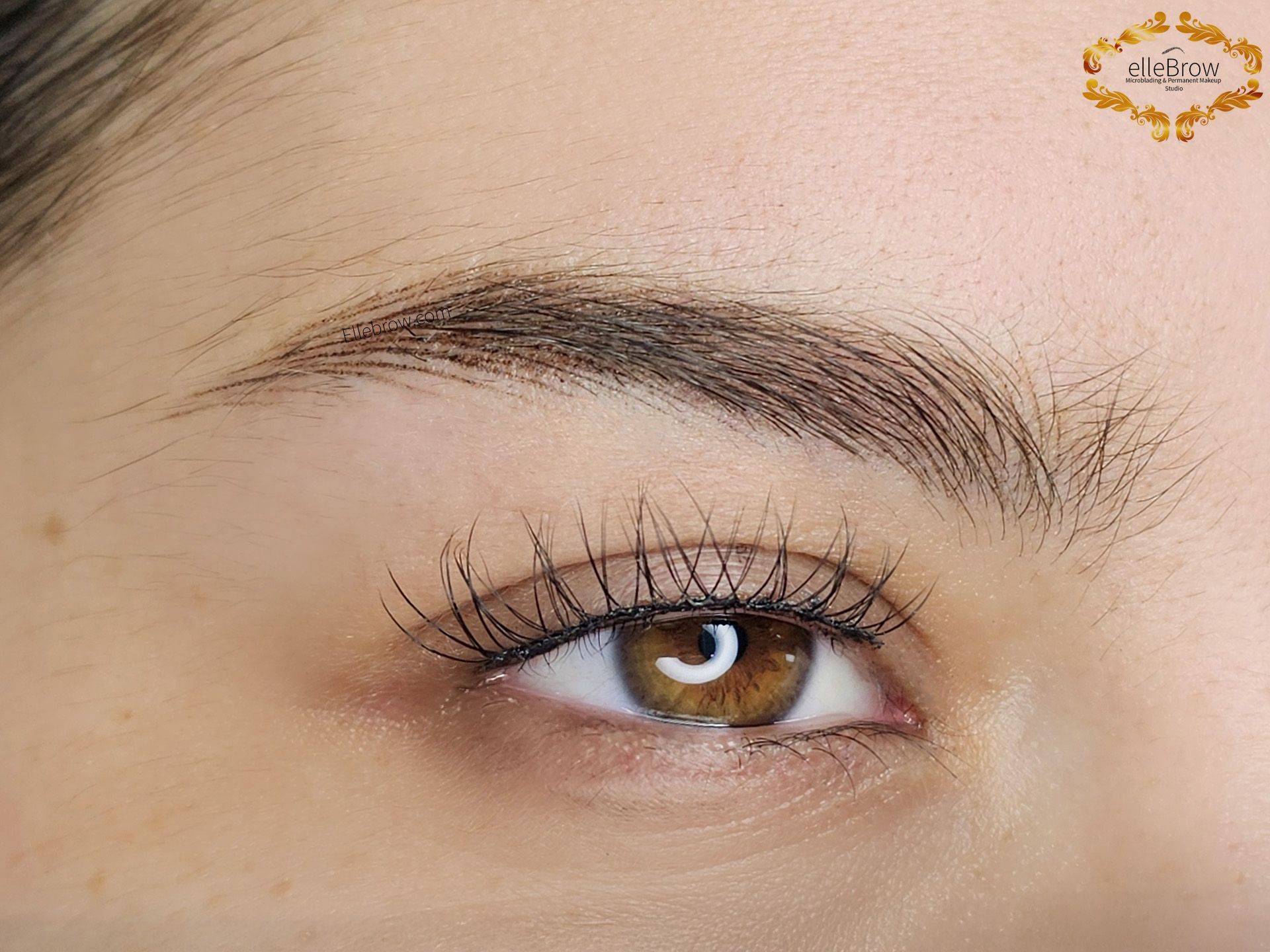 Close-up of a brown eye, eyebrow, and surrounding skin. The eye is open, with long lashes, and the eyebrow is dark and defined.