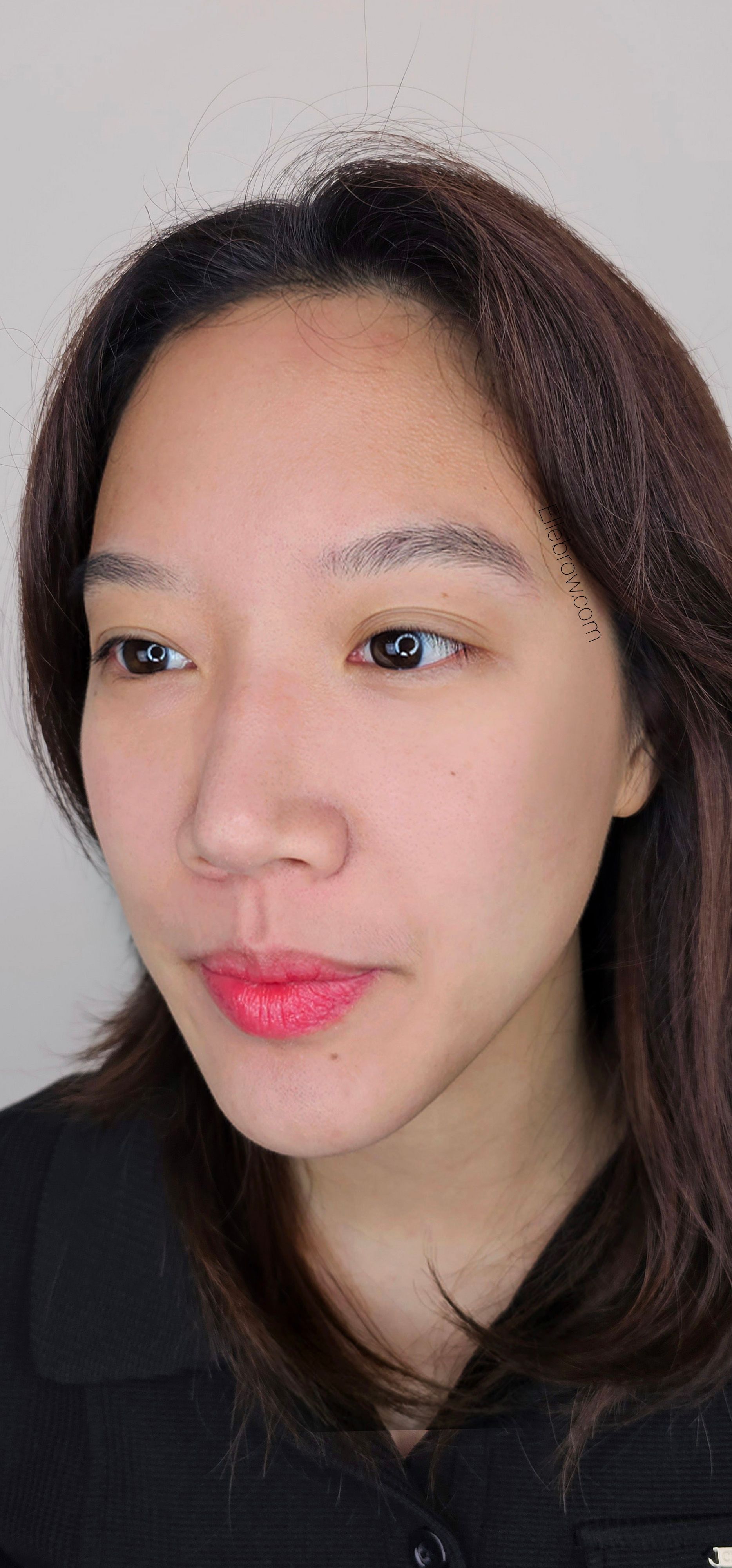 Microshading - Ombre Brows - Powder Brows - Ellebrow NYC - Before and After
