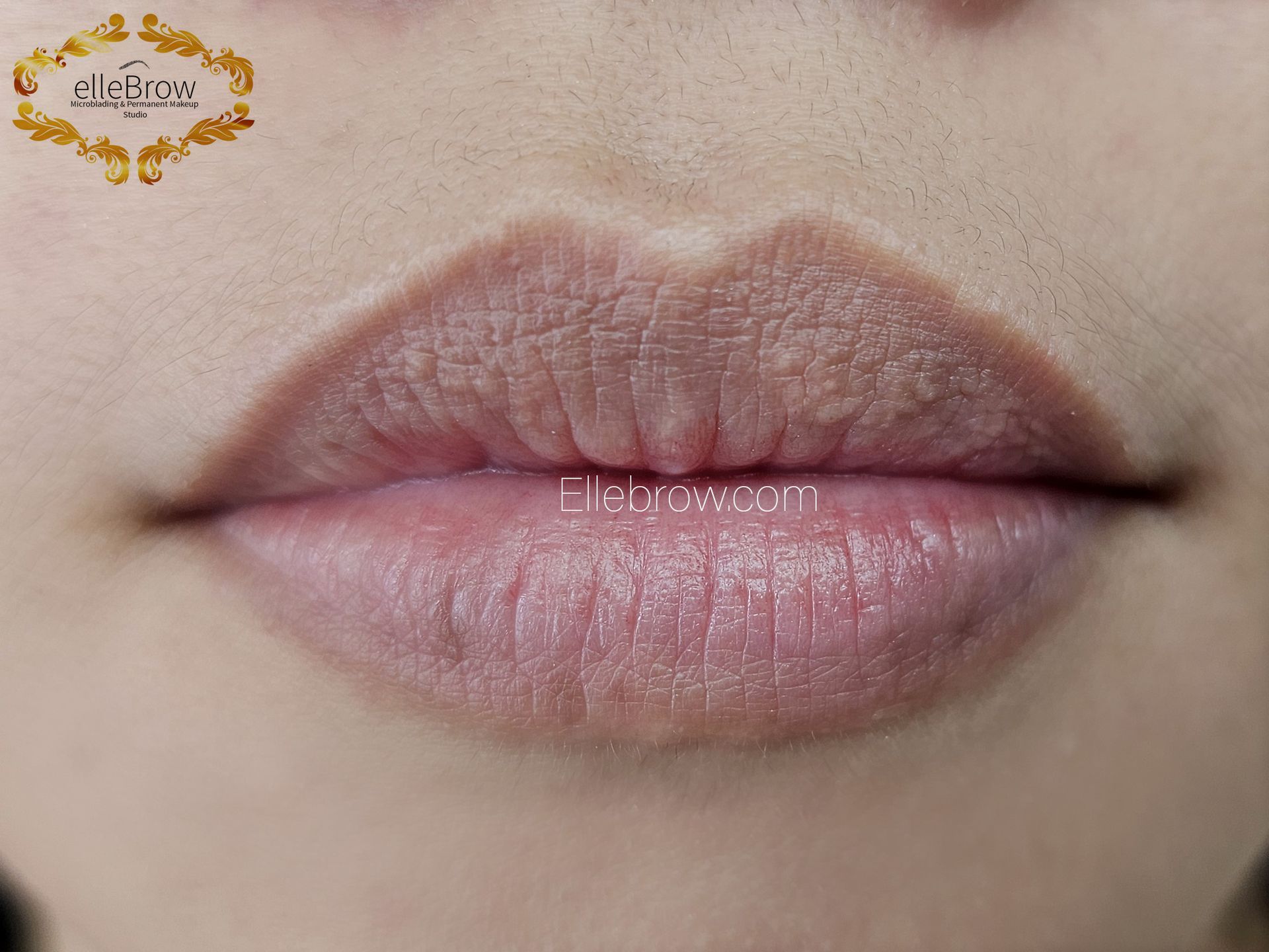 Lip Blushing Before