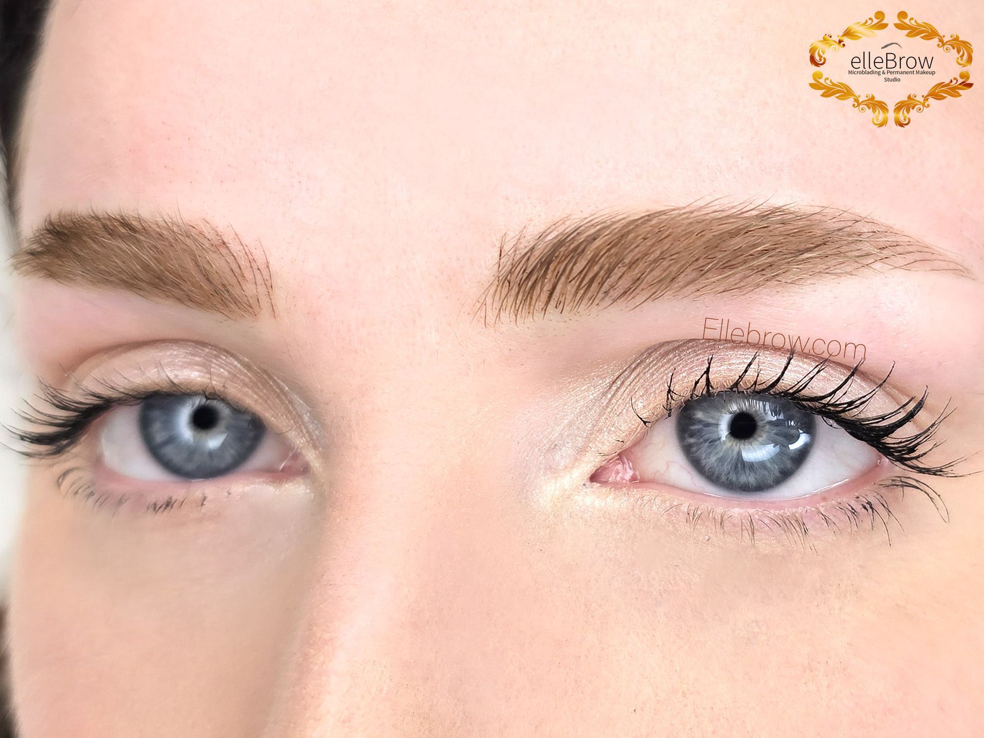 Microblading After at Ellebrow NYC