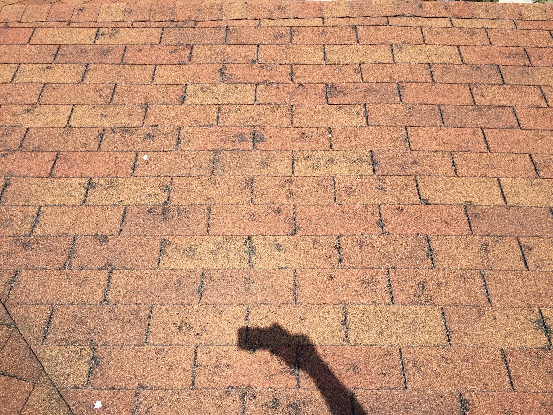 Waco, Texas Hail and Wind Damage to Roof