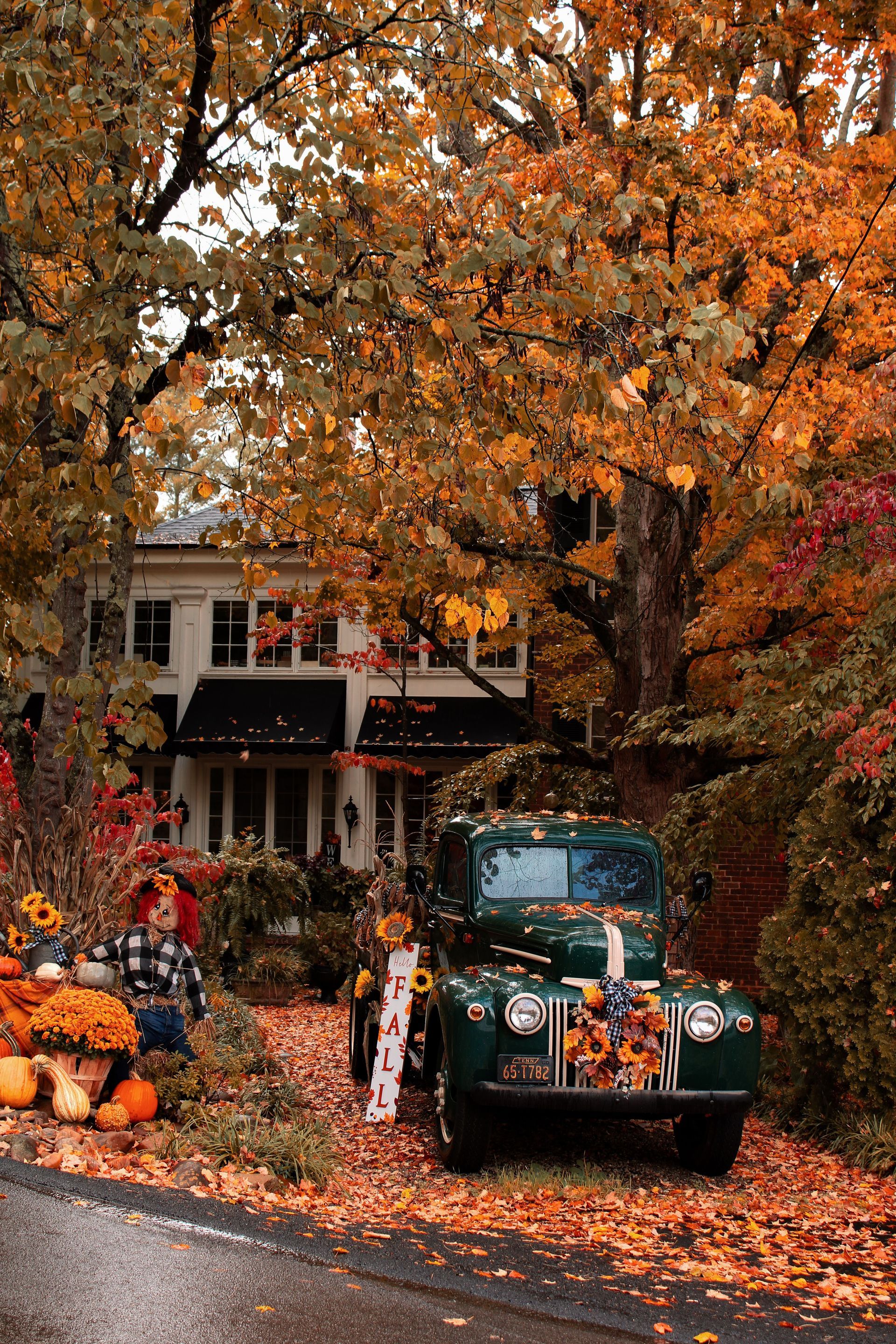 Vintage truck parked on a leaf-covered driveway beneath orange autumn trees, with a house in the background