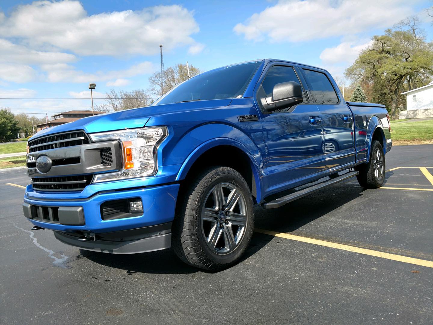 paint protection film