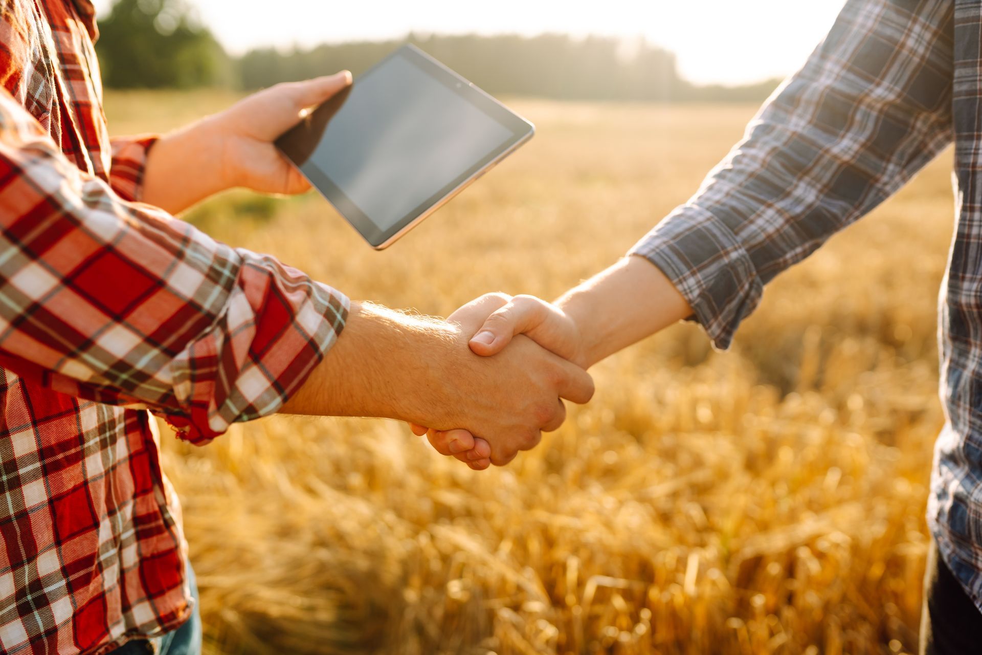 Two people shaking hands in a golden field, with a tablet held beside them