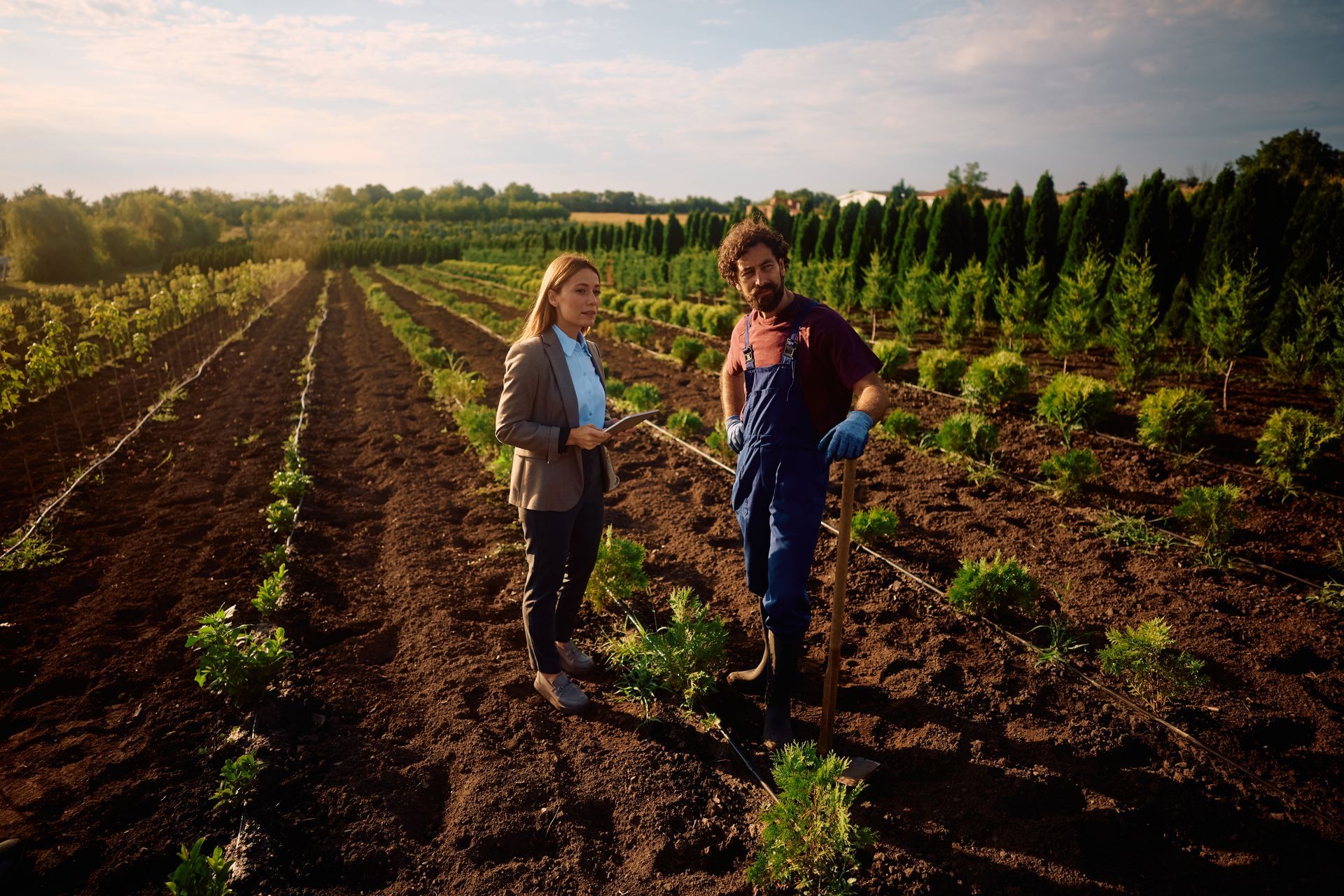 Two people standing in a cultivated field at sunset, with rows of young plants and trees in the background.