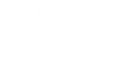 a white background with a few lines on it