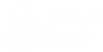 a white background with a few lines on it