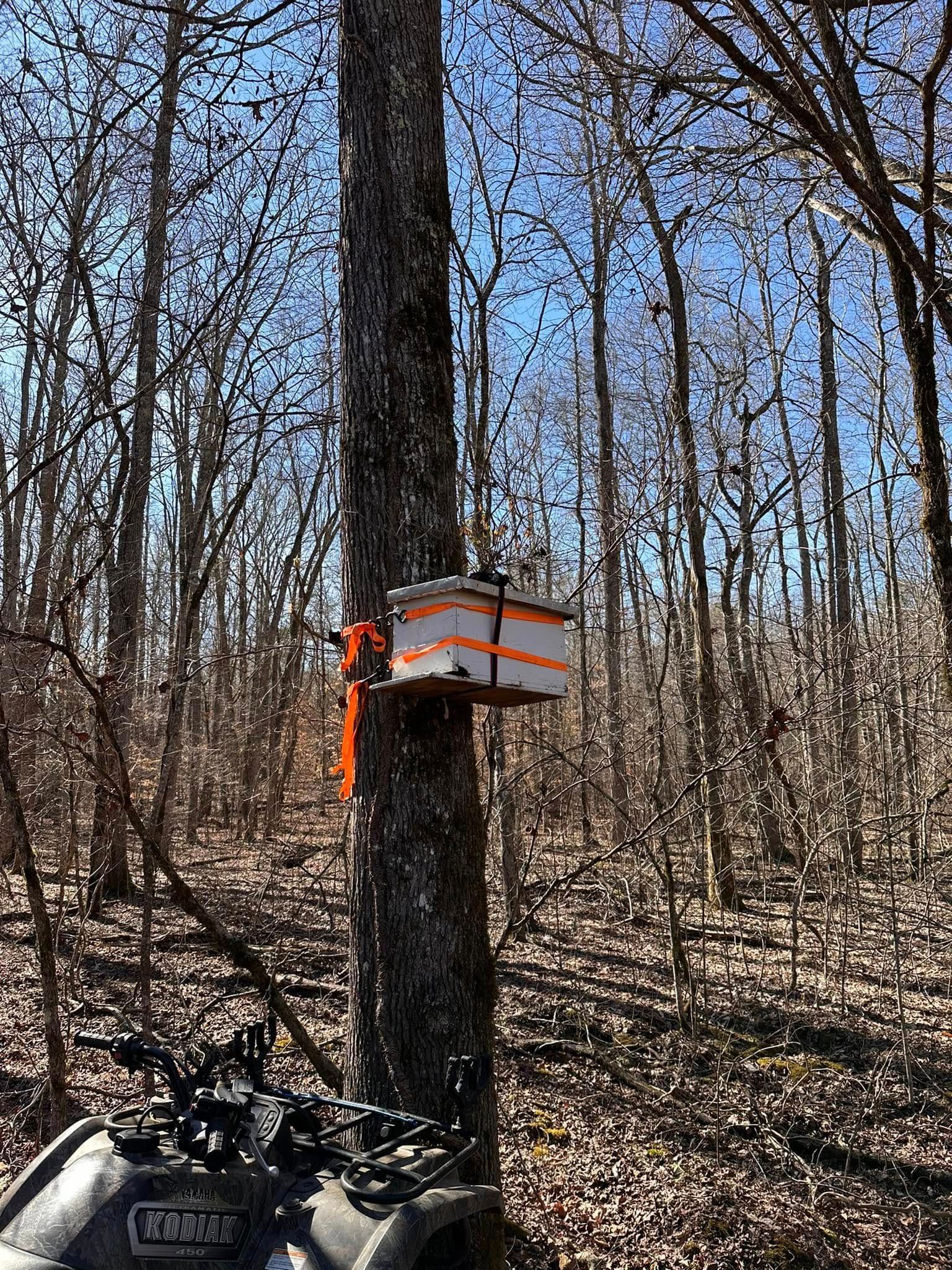Forest trail with a trail marker strapped to a tree, and an ATV visible at the bottom left.