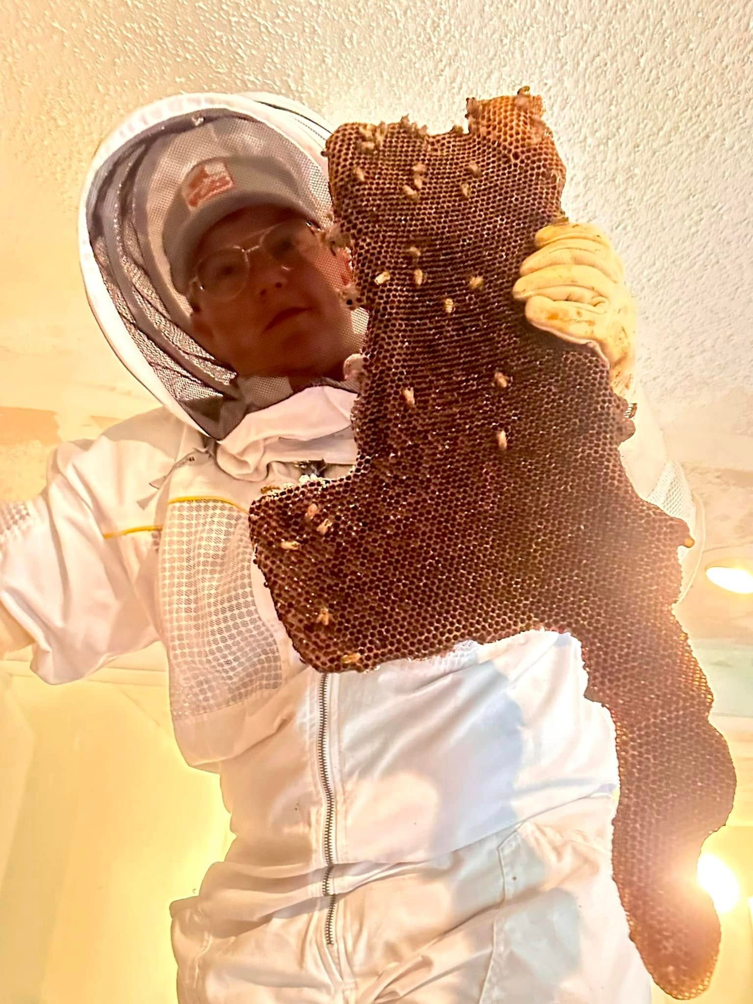 Person in protective suit and gloves holding a large honeycomb sheet indoors.