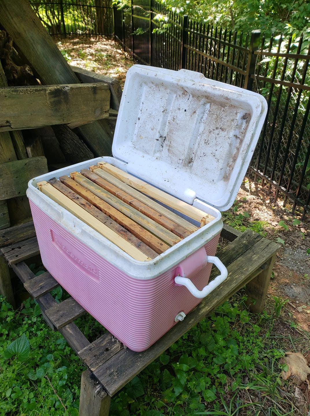 Open pink and white cooler on a bench outdoors, filled with wooden frames or slats.