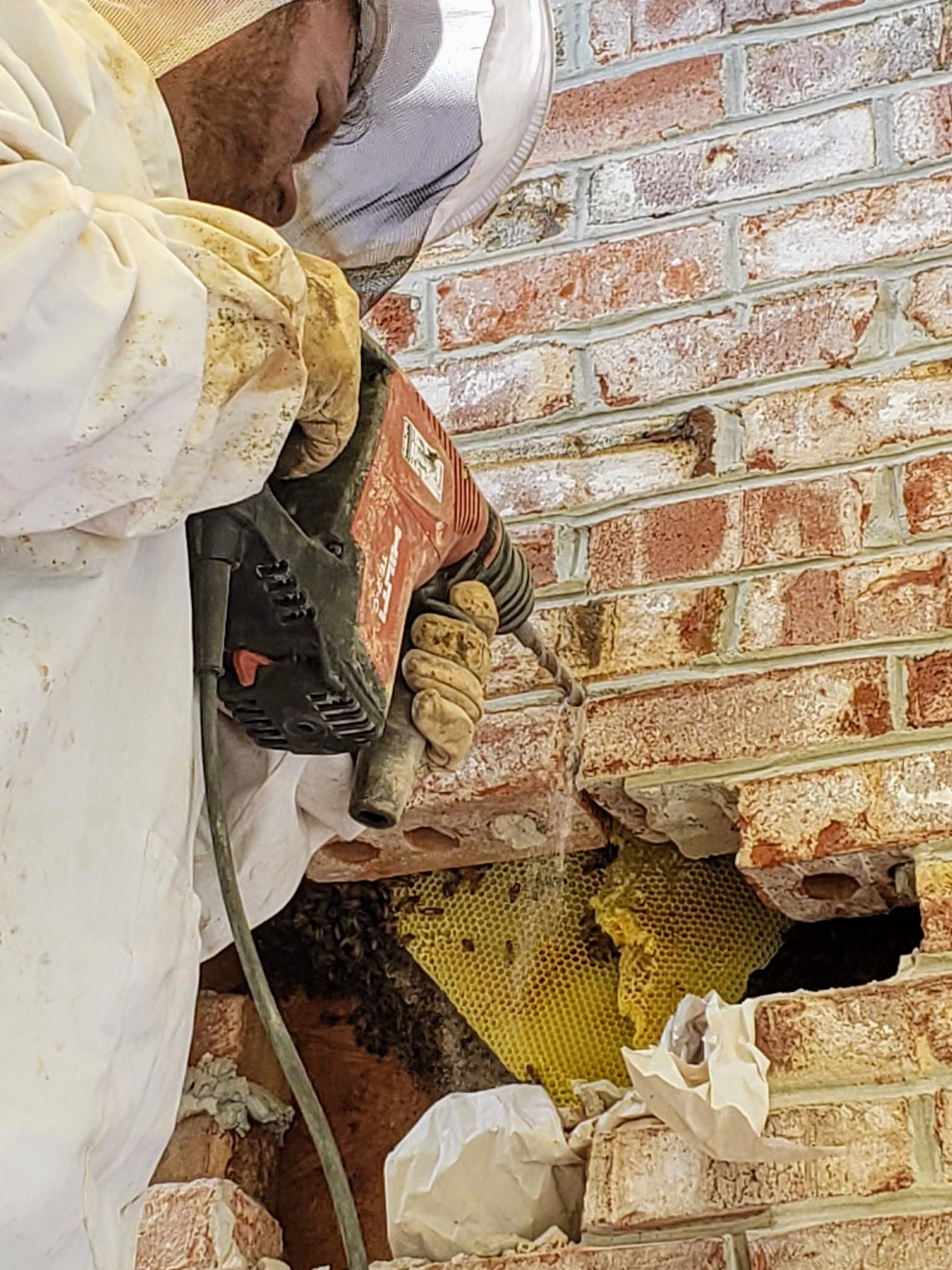 Person in protective gear chiseling a brick wall to expose a beehive behind a hole