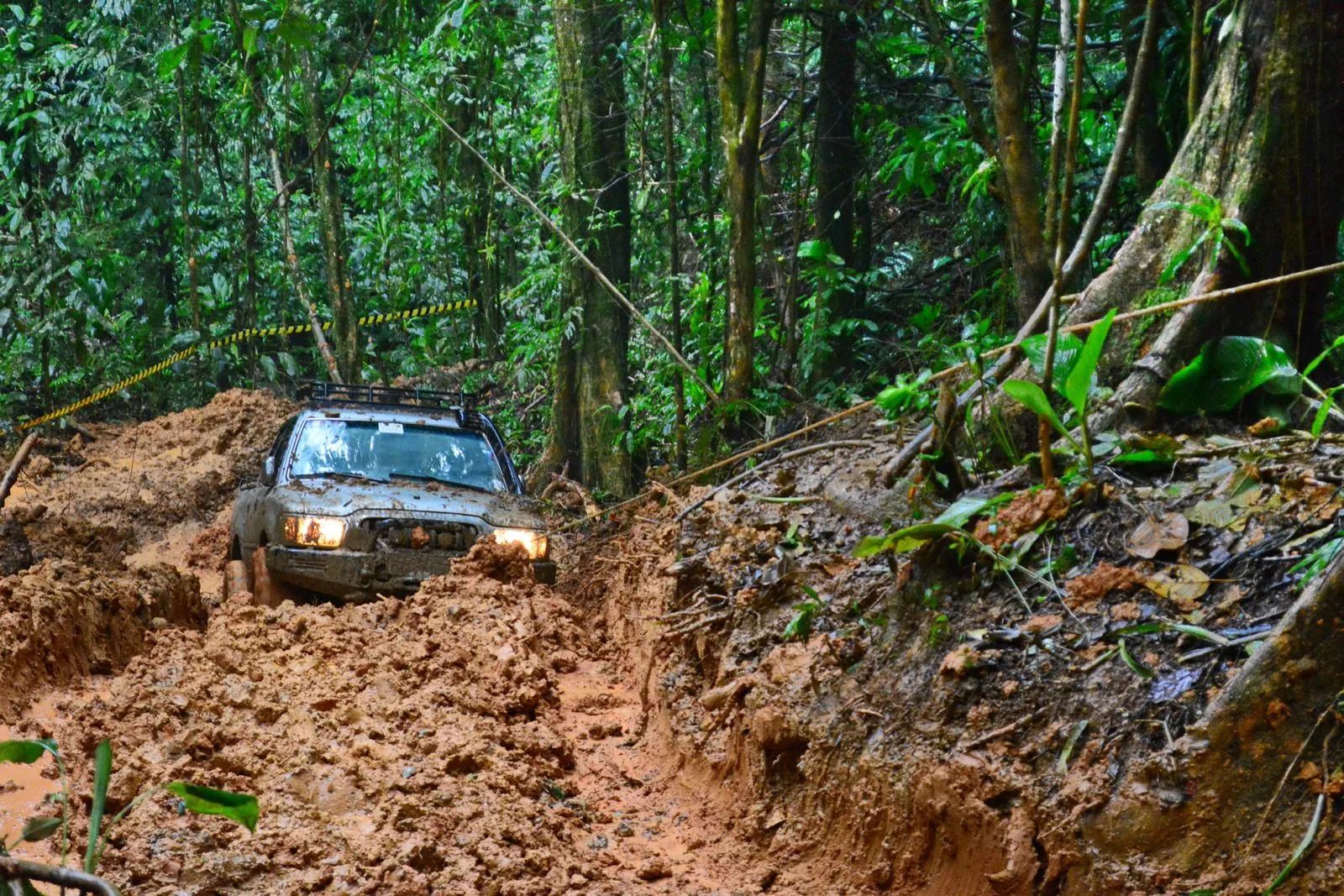 SUV stuck in muddy forest trail, surrounded by dense green trees and steep, wet banks