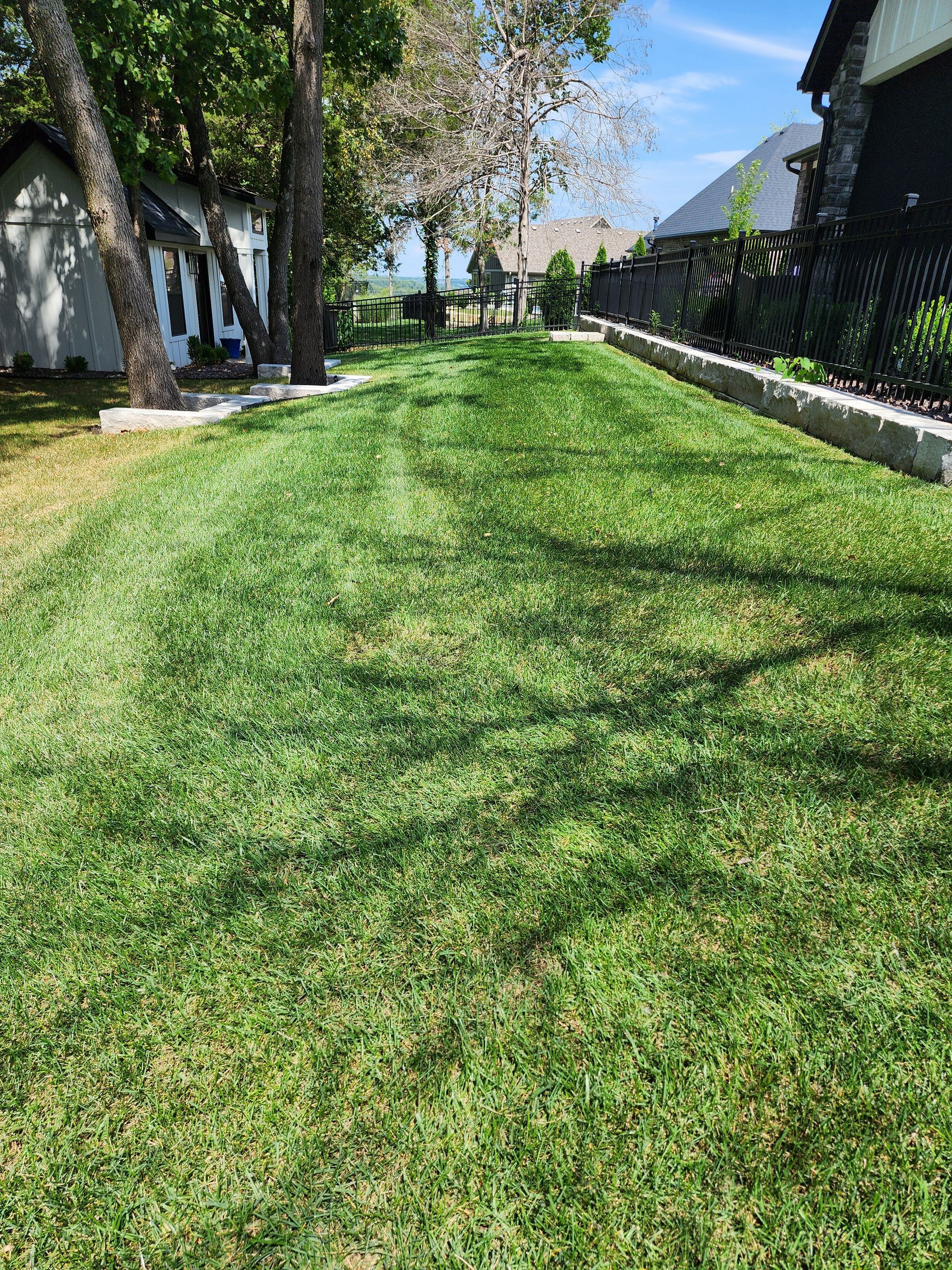 A lush green lawn with trees in the background and a house in the background.