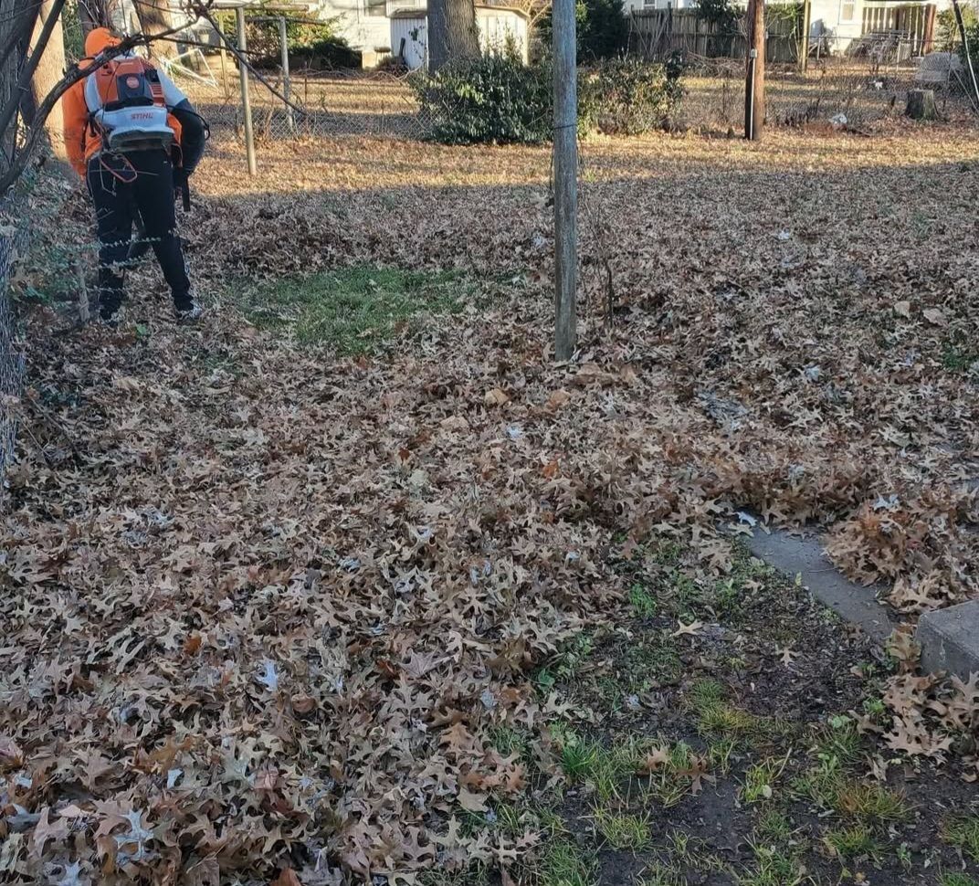 A man with a backpack is walking through a field of leaves.