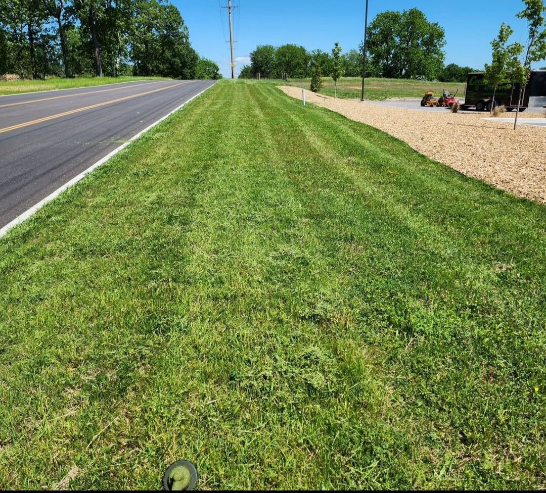 A lush green field of grass next to a road