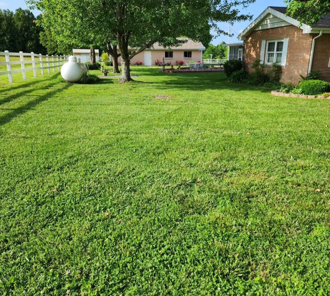 A lush green yard with a brick house in the background