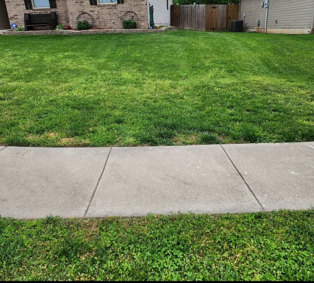 A sidewalk leading to a lush green lawn in front of a house.