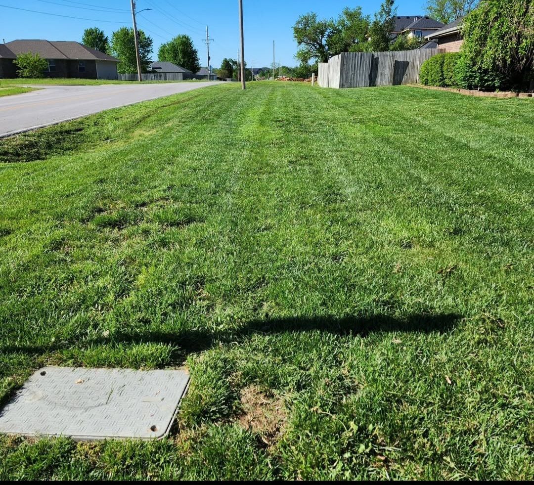 A lush green lawn with a concrete slab in the middle of it.