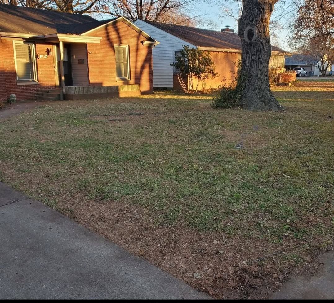A brick house with a tree in front of it