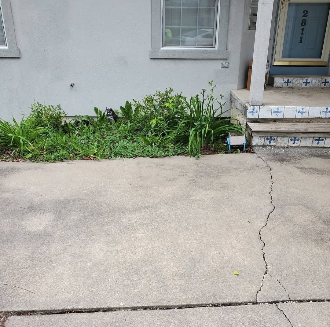 A cracked concrete driveway in front of a house
