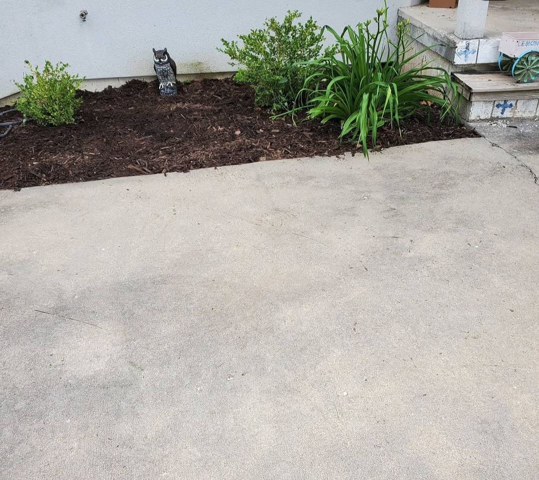 A concrete driveway with a garden in the middle of it