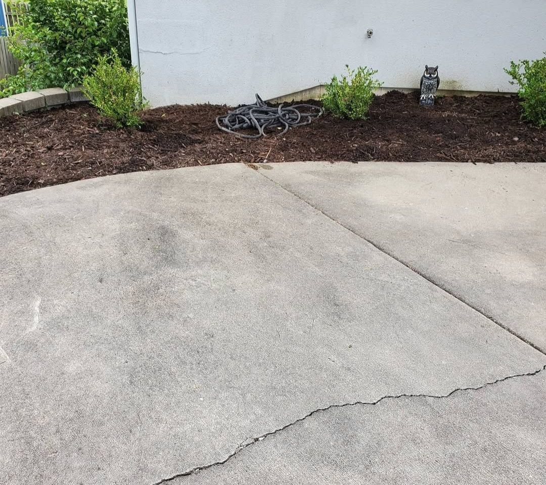 A concrete driveway with a few plants growing out of it