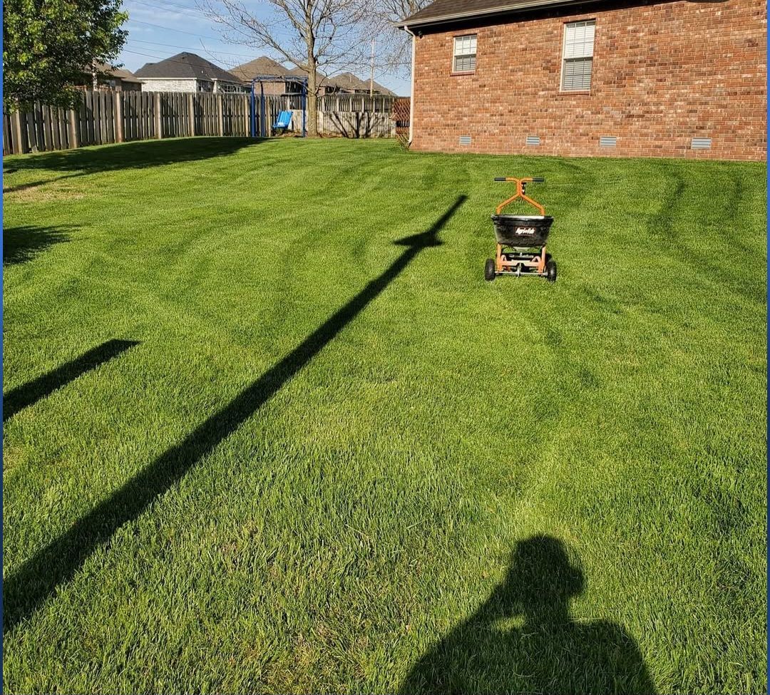 A shadow of a person is cast on a lush green lawn.