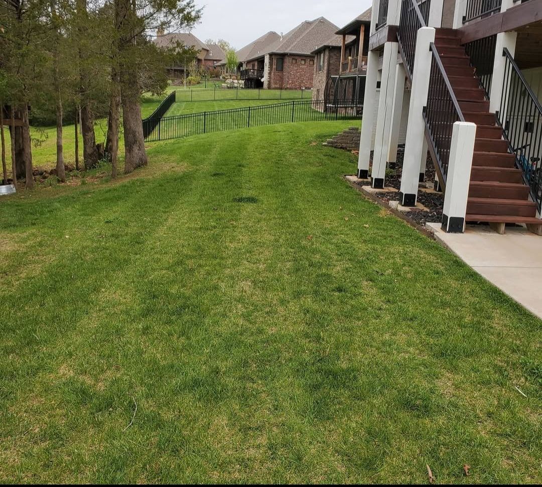 A lush green lawn in front of a house with stairs leading up to it.
