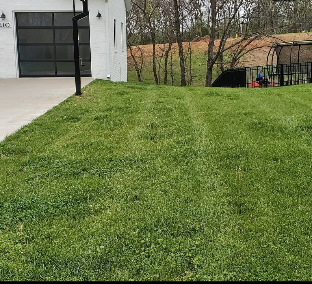 A lush green lawn with a white garage in the background.