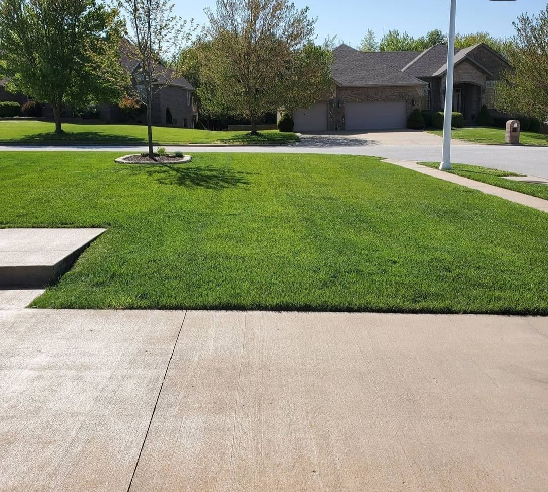 A lush green lawn with a house in the background