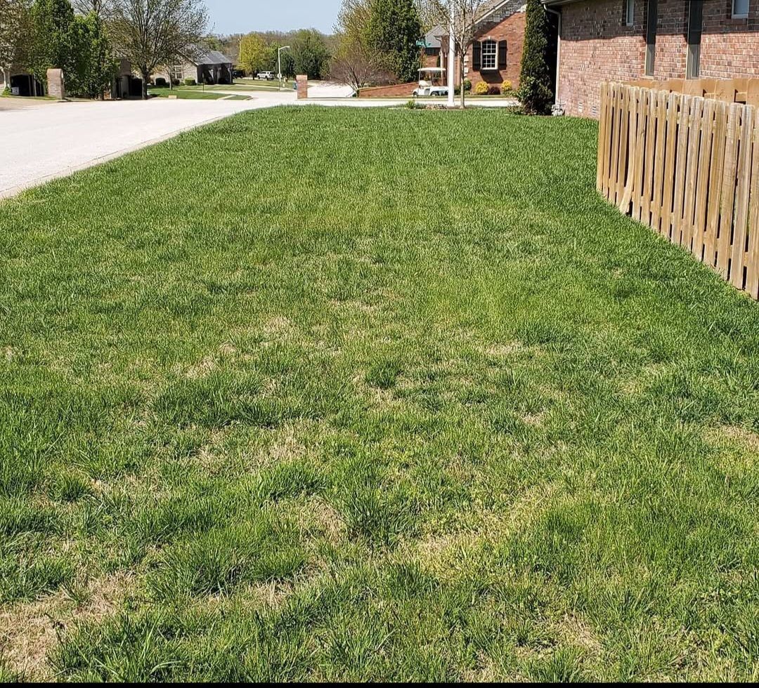 A lush green yard with a wooden fence and a house in the background.