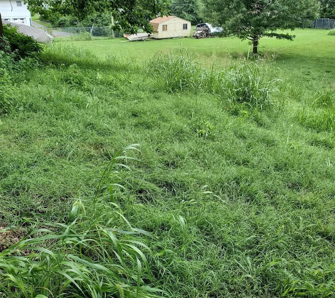 A lush green field with a house in the background.