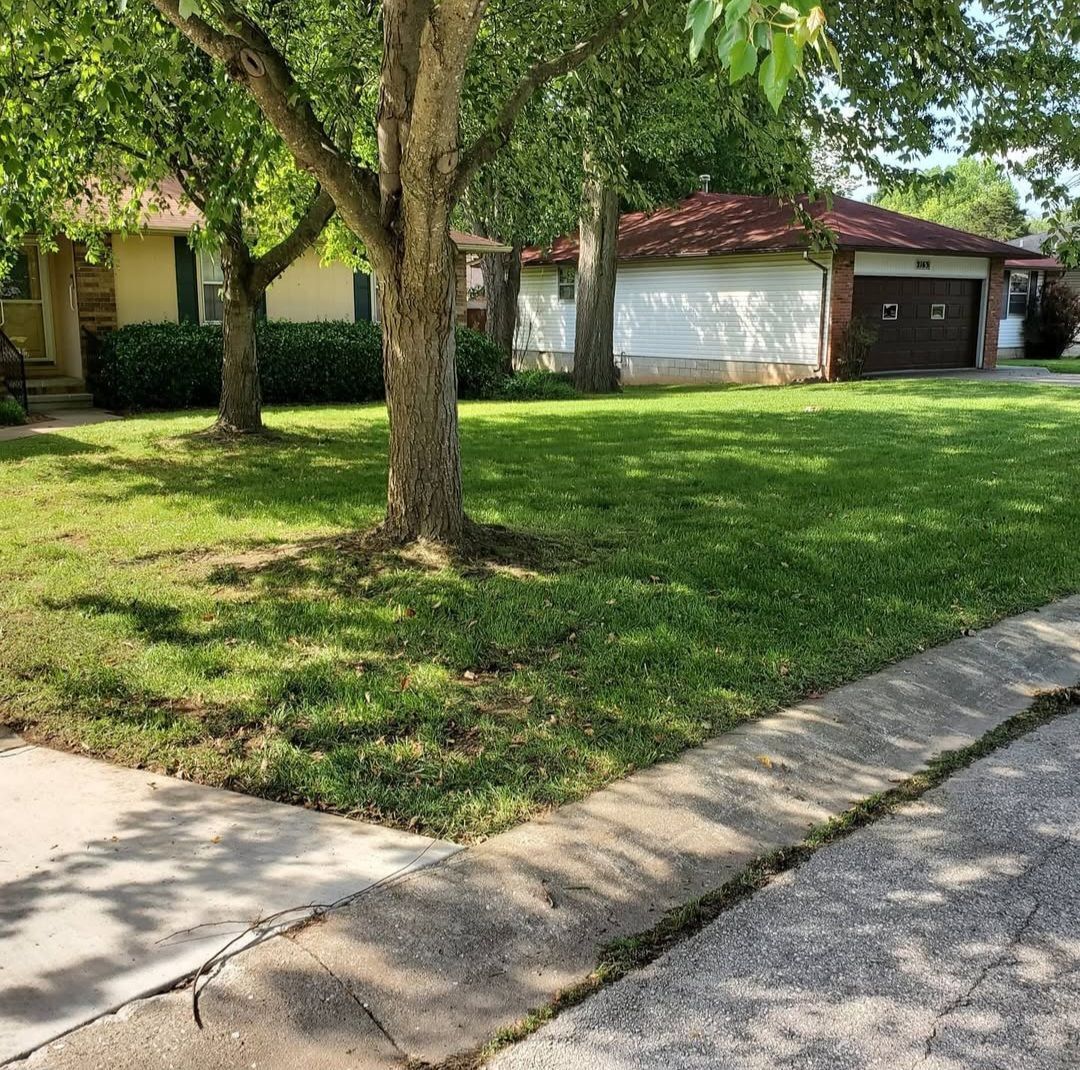 A house with a lush green lawn and a tree in front of it.