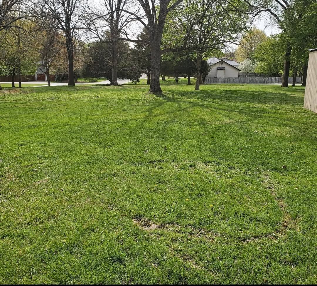 A lush green field with trees and a house in the background.