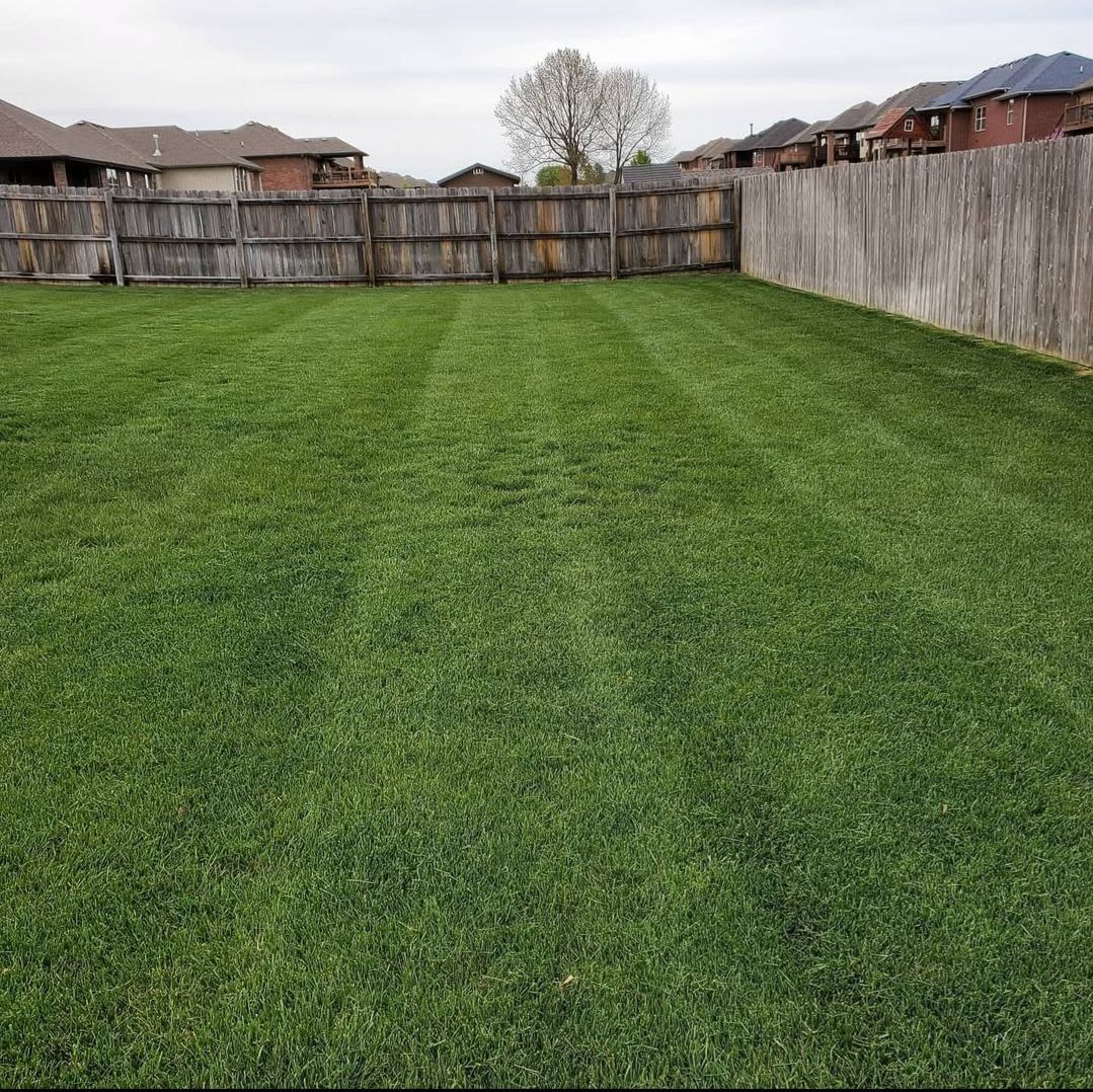 A lush green yard with a wooden fence and houses in the background