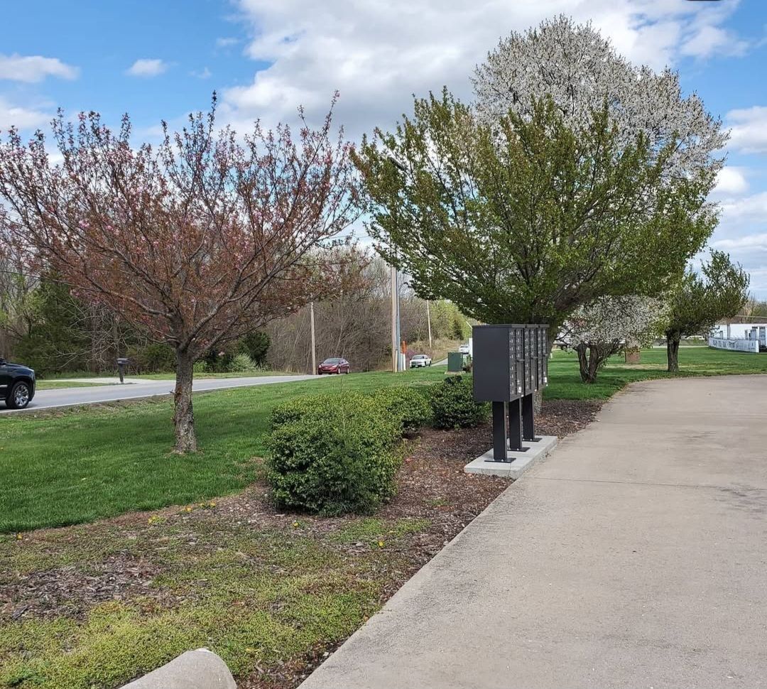 A row of mailboxes on a sidewalk next to trees