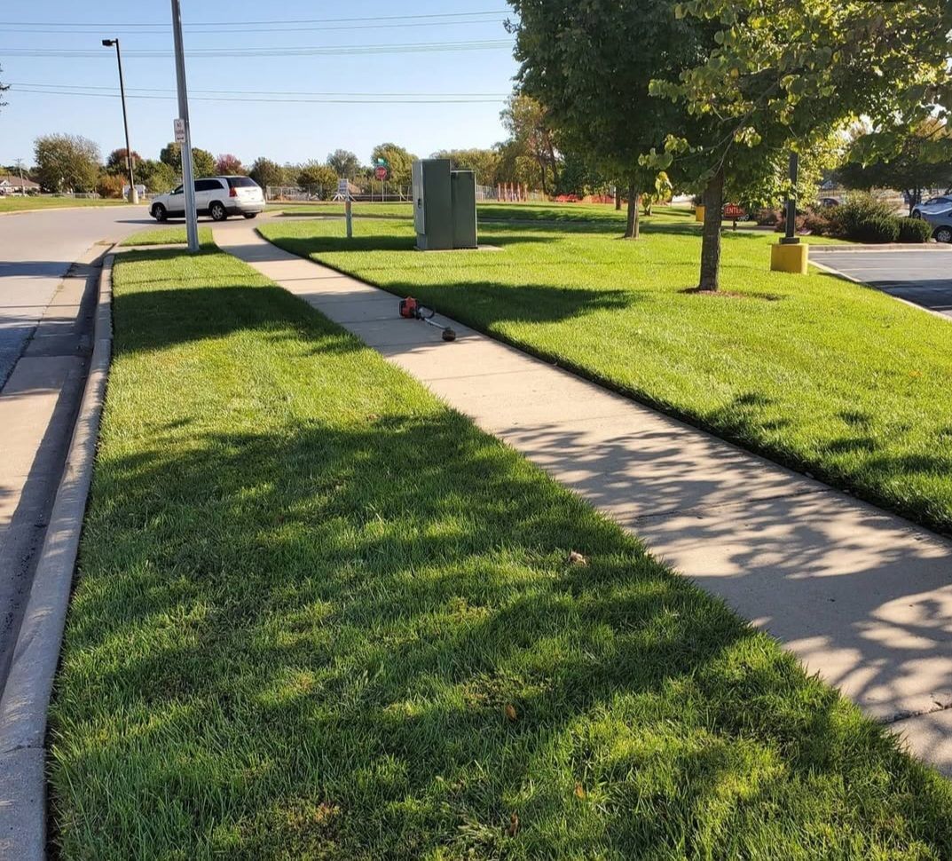 A sidewalk is lined with lush green grass and trees