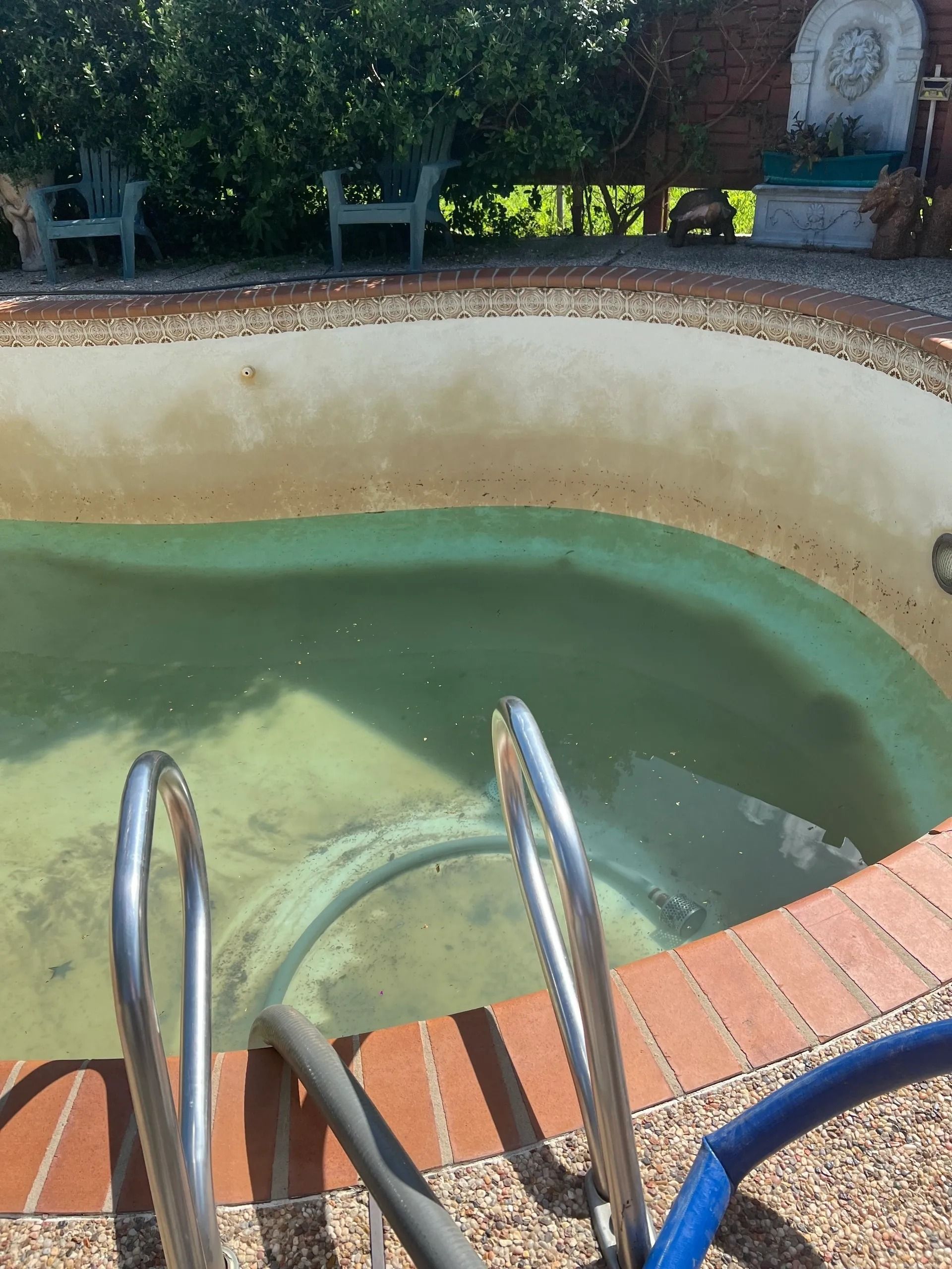 Empty, drained swimming pool with green water, brick coping, and metal ladder in a backyard.