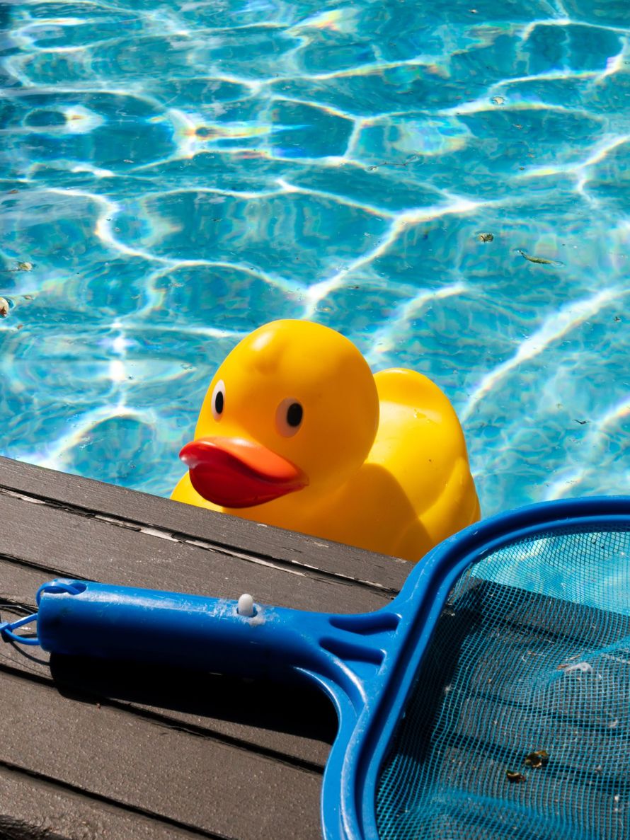 Yellow rubber duck in a swimming pool beside a blue pool net on a wooden deck