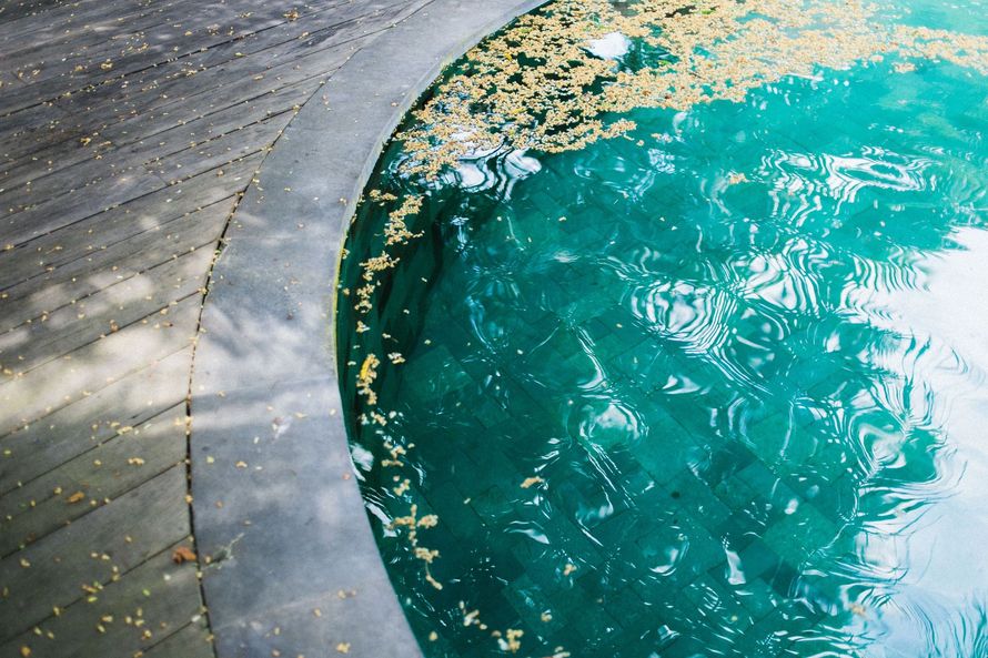 Curved concrete pool edge beside turquoise water with floating leaves