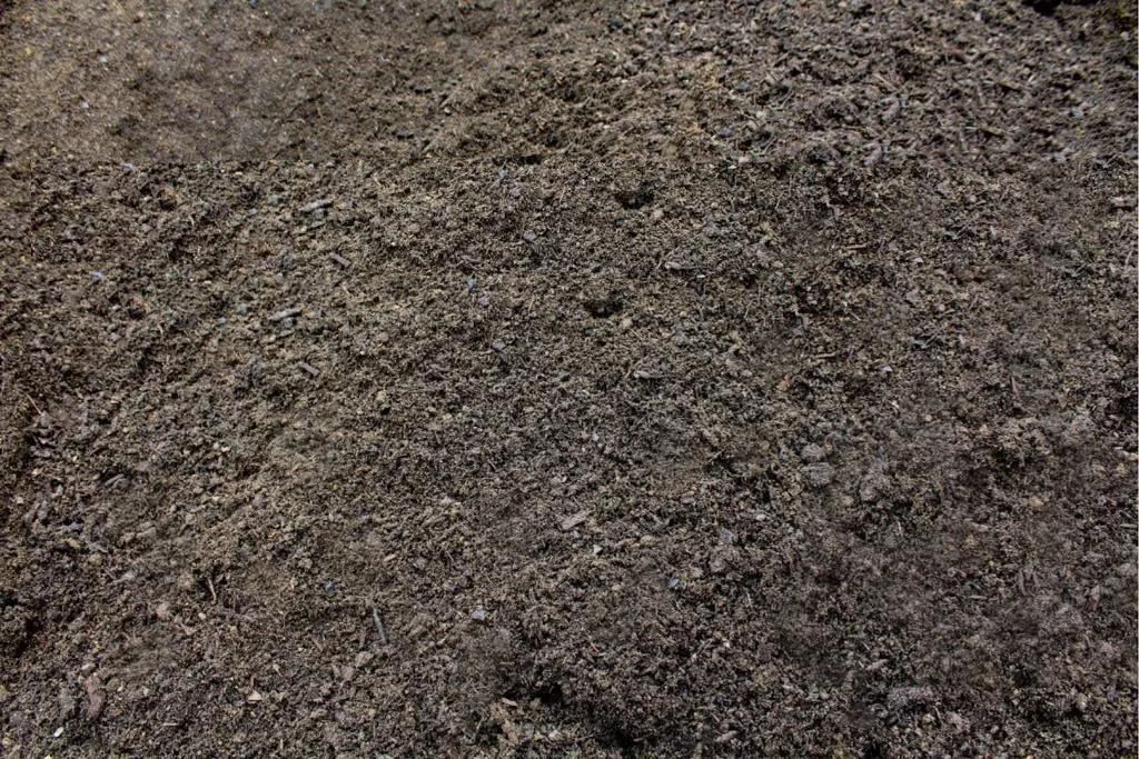 Mixed Soil with Compost
