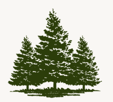 3 Trees Accounting