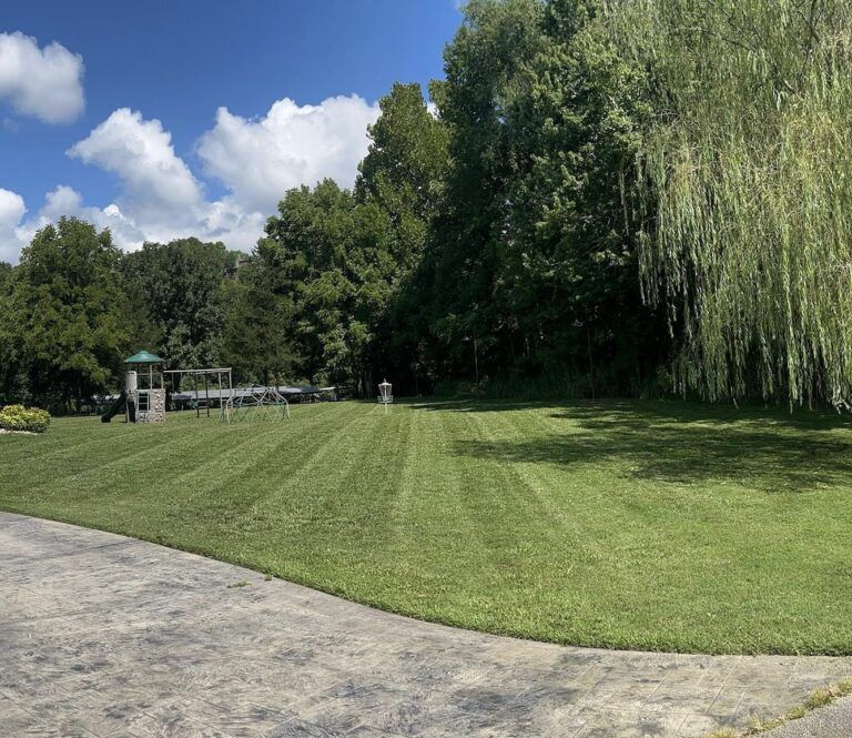 Yard in Springfield, MO