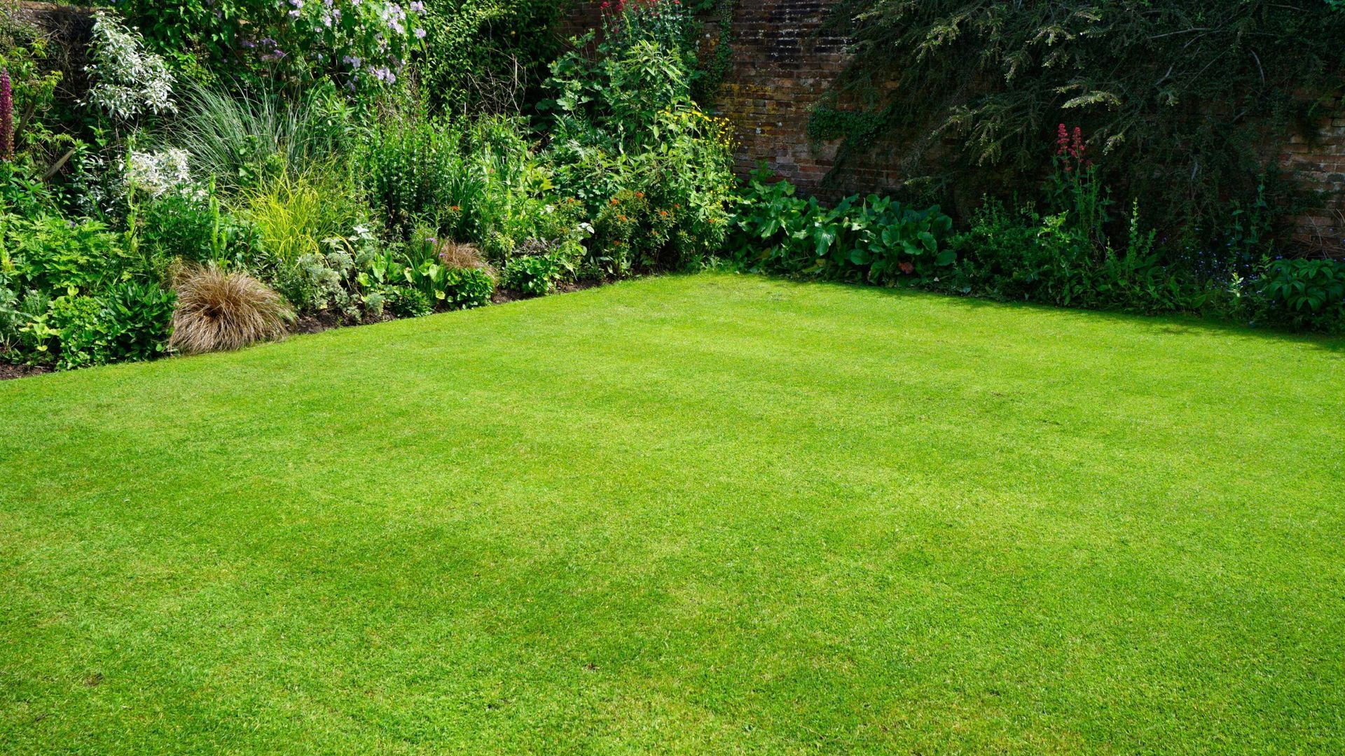 Healthy green renovated lawn with thick turf and landscaped backyard garden in Southwest Missouri