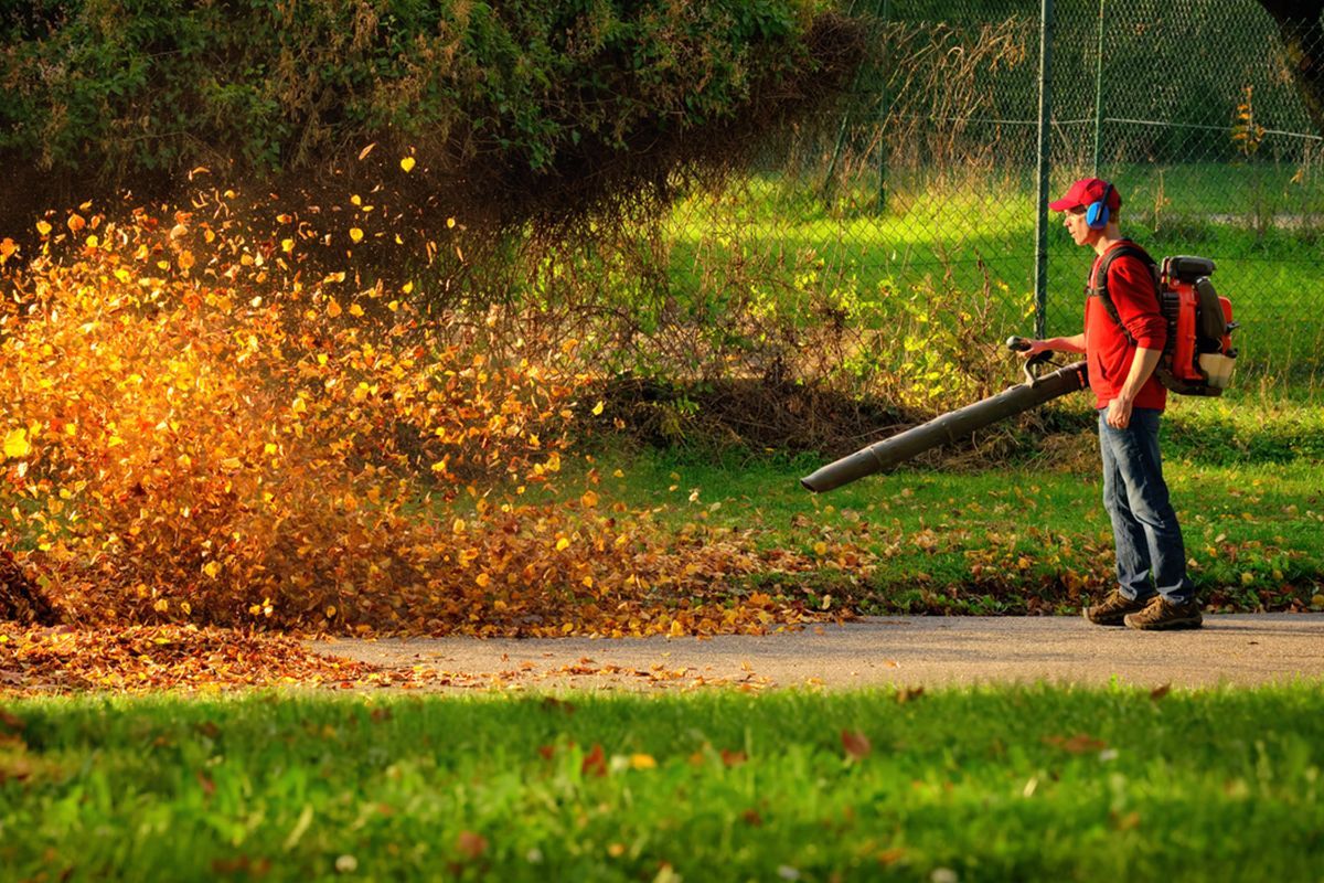 Seasonal leaf and property cleanup