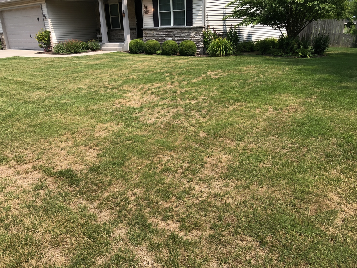 Patchy summer-stressed lawn with brown areas at a home in Nixa, Missouri.